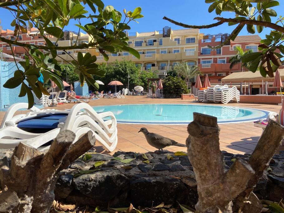 Amazing Penthouse Διαμέρισμα Los Cristianos  Εξωτερικό φωτογραφία